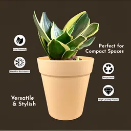 GARDEN'S NEED Excal White & Beige 5 Pieces Textured Planters image 3