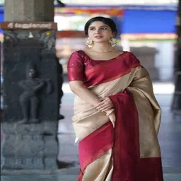 Sanwariya SilkWomen Ethnic Motifs Zari Kanjeevaram Saree-image-83