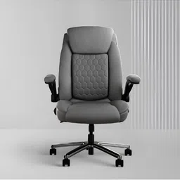FRIDO Grey3D Posture Plus Ergonomic DurableStudy Chair-picture-31
