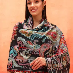 Pashmoda Ethnic Motifs Embroidered Woolen Shawl-picture-15