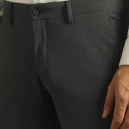 Louis Philippe Men Textured Regular Fit Formal Trousers image 5