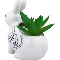 Myntra Elegant Homes White & Green Elegant Bunny Succulent Planter image 3