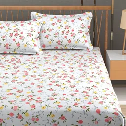MallowWorld Cream-Coloured & Red Floral 200 TC Queen Bedsheet with 2 Pillow Covers-picture-22