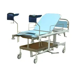 LCS Delivery Table for Hospitals GT-101 image 2