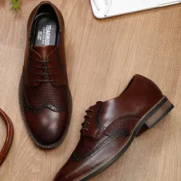 Teakwood Leathers Men's Brown Derby Shoes-image-18