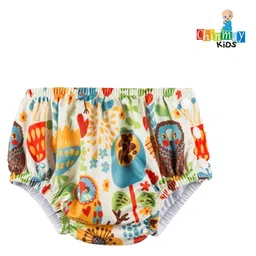 Chinmay Kids Reusable Swim Diaper Pants Pack of 2 - Multicolor image 2