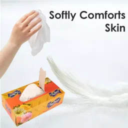 Feather's 2 Ply Biodegradable Premium Facial Dry Tissue F-2103-V image 3