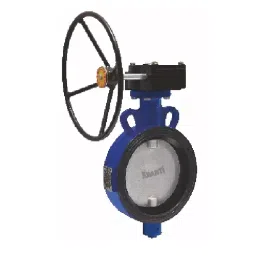 Kranti 24 inch, 600 mm Cast Iron Gear Operated Butterfly Valve, PV-403F-picture-34