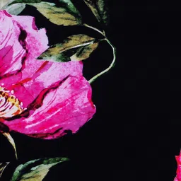 SEJ by Nisha Gupta Black Single Floral Square Cushion Cover image 3