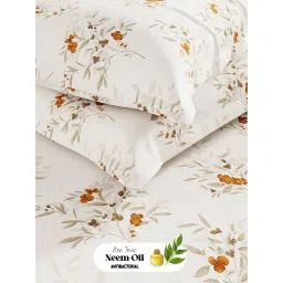 BIANCA Super Soft 100% Cotton King Bedsheet with 2 Pillow Covers Orange (Set of 3) image 5