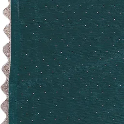 Ambuja International Embellished Beads and Stones Pure Silk Saree image 3