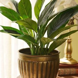 Pure Home and Living Gold-Toned Textured Metal Small Planter-picture-27