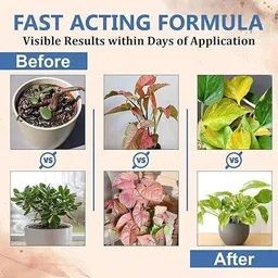 lofiyan plant Boost Liquid Biofertilizer for All Crops, Organic Fertilizer image 2