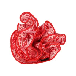 Peter England Men Red Printed Pocket Square image 2