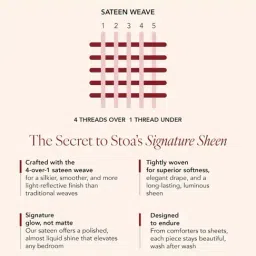 Stoa Paris Olive Polyester 300 TC King Bedsheet with 2 Pillow Covers image 5