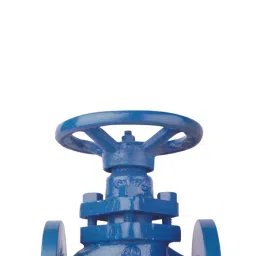 Leader CCS 012 Cast Carbon Steel L Glandless Piston Valve 80 mm PN - 40 image 3