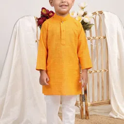 Sangria Boys Regular Pure Cotton Kurta Set-picture-29