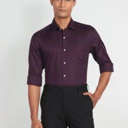 Arrow Purple Cotton Slim Fit Self Pattern Shirt-picture-17