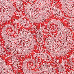 Peter England Men Red Printed Pocket Square image 3