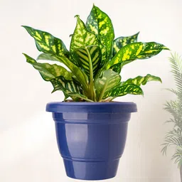 Kuber Industries 6 Pcs Blue & Orange-colored Lightweight Planters image 2