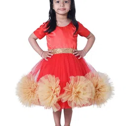 Wish little Girls Net Fit and Flare Dress With Belt image 1