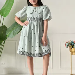 Bella Moda Girls Floral Embroidered Puff Sleeve Peter Pan Collar Fit & Flare Dress-image-65
