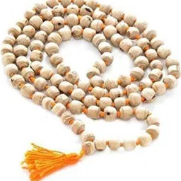 Divine souvenirs Brown Alloy Necklace-picture-30