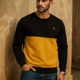 Raves Men Colourblocked Sweatshirt image 5