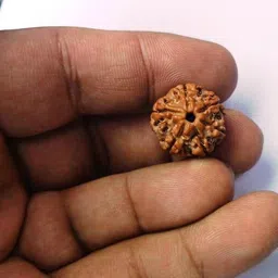 AMOGH JEWELS 6 mukhi nepali rudraksha 15 to 20mm size With red thread Lumineux Uno Pendant-picture-18