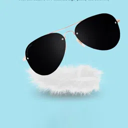 RESIST EYEWEAR Unisex Aviator Sunglasses with UV Protected Lens EVA GF BLACK2 image 4