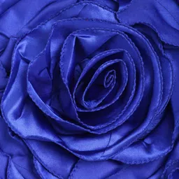 HOSTA HOMES Blue Set of 2 Satin Round Cushion Covers image 5