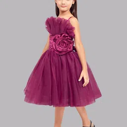 Pink Chick Girls Shoulder Straps Ruffled Tulle Net Fit & Flare Dress image 3