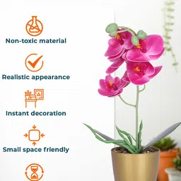 Kuber Industries Pink & Green Artificial Orchid Flower Plant With Pot image 5