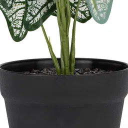 Living scapes by Pantaloons Artificial Plant image 4