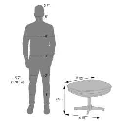 urban ladder Marson Lounger Chair with Ottoman in Berry Red image 10