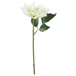 ikea smycka Artificial flower, in/outdoor/Dahlia white, 30 cm image 1