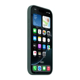 Apple Soft Silicone Back Cover Apple iPhone 16 Pro (MagSafe Charging Support, Lake Green) image 5