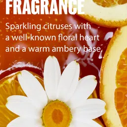 WELLA PROFESSIONALS Ultimate Smooth Shampoo with Squalane & Omega-9 for Dry Hair - 50 ml image 2