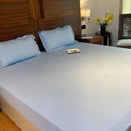 Bells & Whistles 300 TC King Bedsheet with 2 Pillow Covers image 3