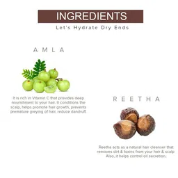 Khadi Pure Herbal Amla & Reetha Shampoo - 210 ml image 2