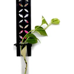 VAH Kya Bat Hai !! Black & Transparent Textured Wooden Planter With Test Tube Holder image 4