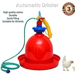 praish Ground Bird Feeder image 3