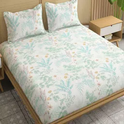 CHICERY Off White & Blue Printed Pure Cotton 210 TC Super King Bedsheet Set 2.7 m x 2.7 m-picture-30