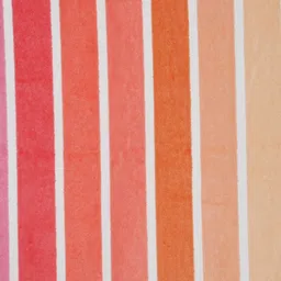 Creeva Pastel Green & Red Pattern 500 GSM BeachTowels image 3