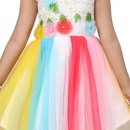 Aarika Floral Net Fit & Flare Midi Dress image 4