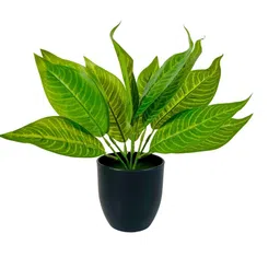 Dekorly Black Plastic Artificial Flowers & Plants With Pot-picture-14