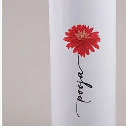 fnp White & Red Aluminium Typography Printed Water Bottle 750 ml image 3