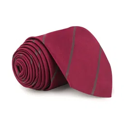 TADWILL Men Striped Broad Tie image 4