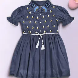 BAESD Girls Honey Bee Embroidered Shirt Collar Cotton Fit & Flare Dress-picture-18