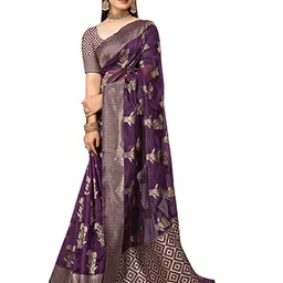 Aagiri Woven Design Zari Organza Banarasi Saree-picture-10